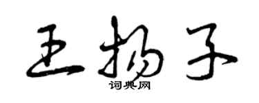 曾慶福王揚子草書個性簽名怎么寫