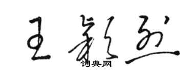 駱恆光王穎烈草書個性簽名怎么寫