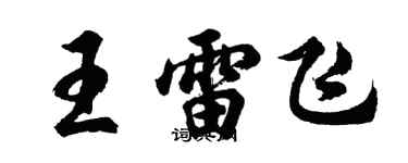 胡問遂王雷飛行書個性簽名怎么寫