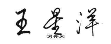 駱恆光王星洋行書個性簽名怎么寫