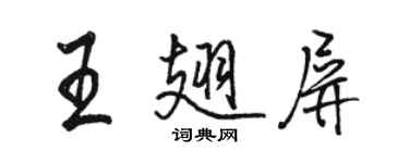 駱恆光王翅屏行書個性簽名怎么寫