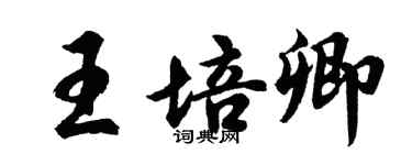 胡問遂王培卿行書個性簽名怎么寫