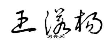 曾慶福王諾楊草書個性簽名怎么寫