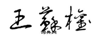 曾慶福王蘇權草書個性簽名怎么寫