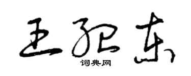 曾慶福王紀東草書個性簽名怎么寫
