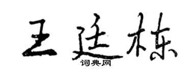 曾慶福王廷棟行書個性簽名怎么寫