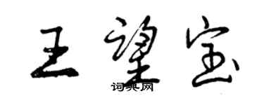 曾慶福王望寶行書個性簽名怎么寫