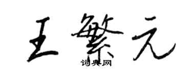 王正良王繁元行書個性簽名怎么寫