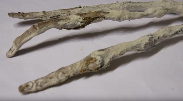 秘魯發現神秘三指手掌 疑似外星人