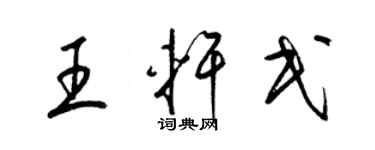 梁錦英王軒民草書個性簽名怎么寫