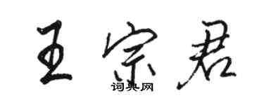 駱恆光王宗君行書個性簽名怎么寫