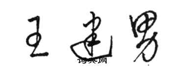 駱恆光王建男草書個性簽名怎么寫