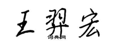 王正良王羿宏行書個性簽名怎么寫