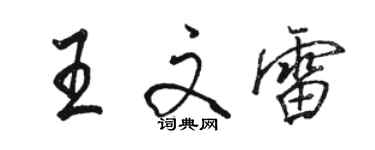 駱恆光王文雷行書個性簽名怎么寫