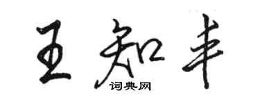 駱恆光王知豐行書個性簽名怎么寫