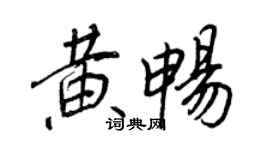 王正良黃暢行書個性簽名怎么寫