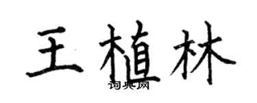 何伯昌王植林楷書個性簽名怎么寫