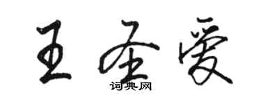 駱恆光王聖愛行書個性簽名怎么寫