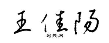 梁錦英王佳陽草書個性簽名怎么寫