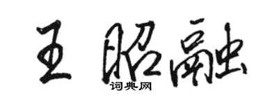駱恆光王昭融行書個性簽名怎么寫