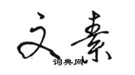 駱恆光文素行書個性簽名怎么寫