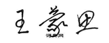 駱恆光王蒙思草書個性簽名怎么寫