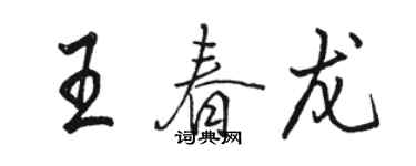 駱恆光王春龍行書個性簽名怎么寫