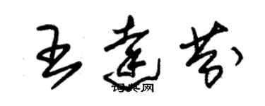 朱錫榮王達芬草書個性簽名怎么寫