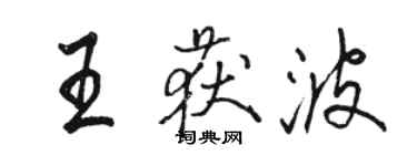 駱恆光王獲波行書個性簽名怎么寫