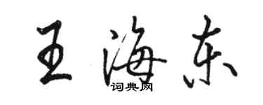 駱恆光王海東行書個性簽名怎么寫