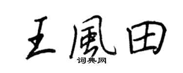 王正良王風田行書個性簽名怎么寫