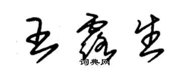 朱錫榮王露生草書個性簽名怎么寫