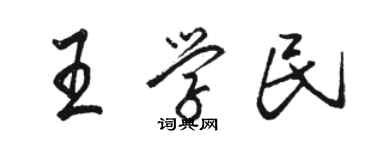 駱恆光王學民行書個性簽名怎么寫