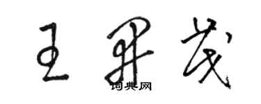 駱恆光王開茂草書個性簽名怎么寫