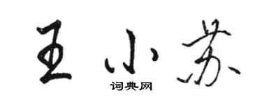 駱恆光王小蘇行書個性簽名怎么寫