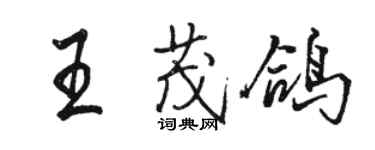駱恆光王茂鴿行書個性簽名怎么寫