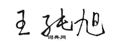 駱恆光王純旭草書個性簽名怎么寫