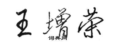 駱恆光王增榮行書個性簽名怎么寫