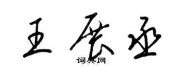 梁錦英王展丞草書個性簽名怎么寫