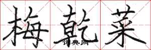 駱恆光梅乾菜楷書怎么寫