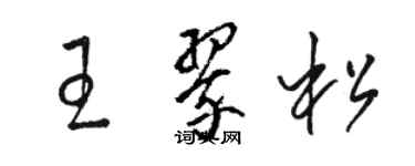 駱恆光王翠松草書個性簽名怎么寫