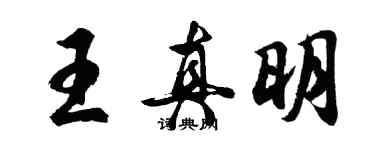 胡問遂王真明行書個性簽名怎么寫