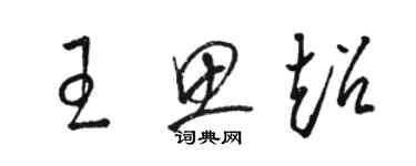 駱恆光王思超草書個性簽名怎么寫