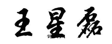 胡問遂王星磊行書個性簽名怎么寫
