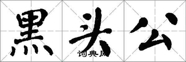 翁闓運黑頭公楷書怎么寫