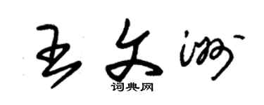 朱錫榮王文洲草書個性簽名怎么寫