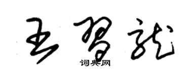 朱錫榮王習龍草書個性簽名怎么寫