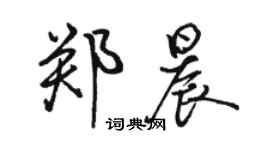 駱恆光鄭晨行書個性簽名怎么寫