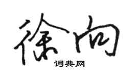 駱恆光徐向行書個性簽名怎么寫