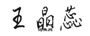 駱恆光王晶蕊行書個性簽名怎么寫